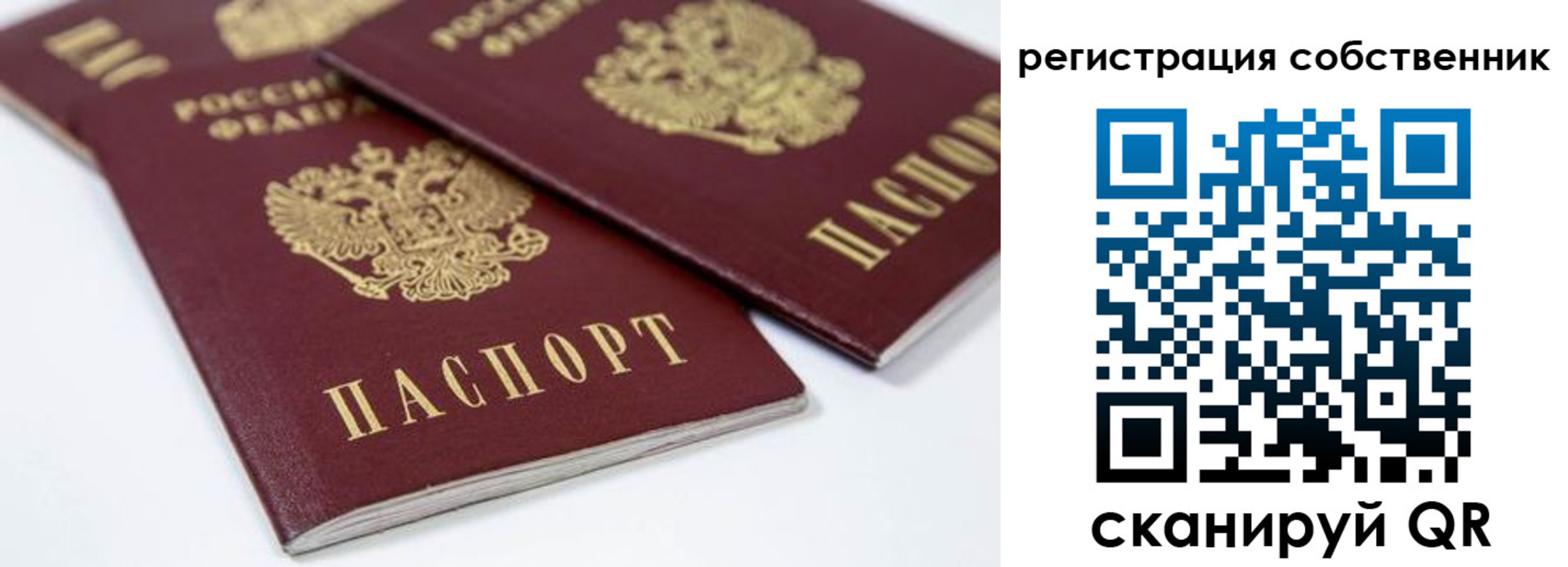 прописка для школы в Георгиевске